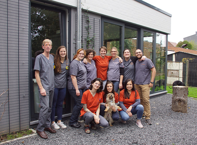 équipe clinique vétérinaire animalliance belgique