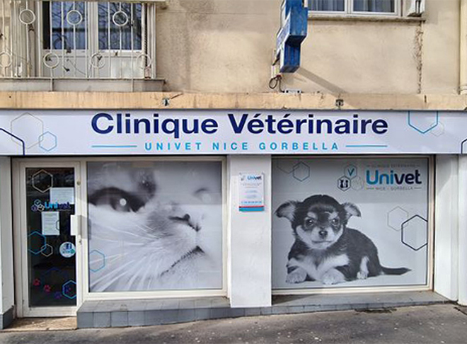 Clinique-Univet-Nice-Gorbella
