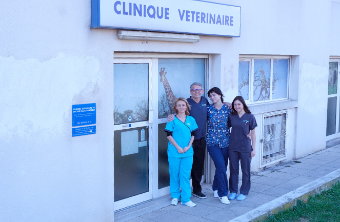 Clinique veterinaire Univet Marseille Estaque TEAM