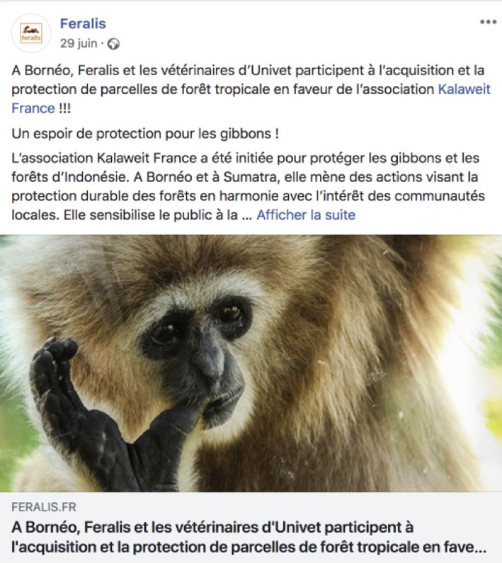 feralis protection forêt tropicale