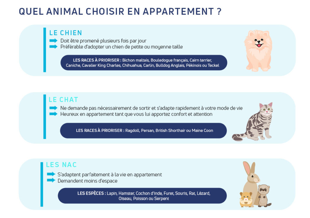 Quel animal choisir en appartement 