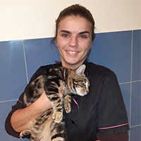 Clinique veterinaire Univet Roche-sur-Yon Veto Romane Gauvrit