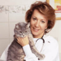 Clinique veterinaire Univet VETO Anais Letreguilly