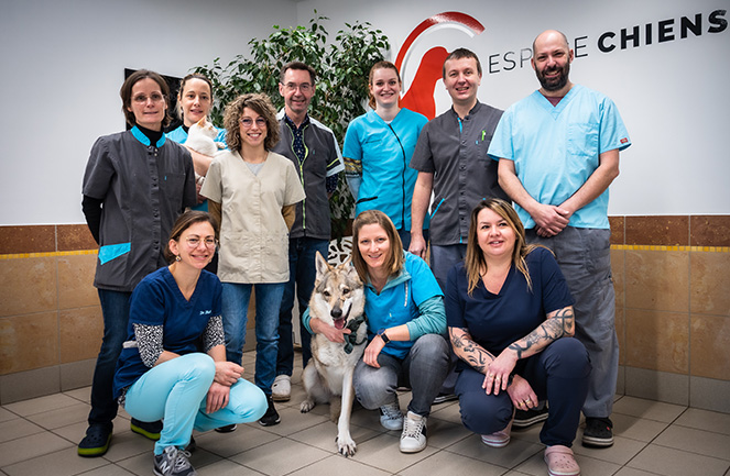 Clinique veterinaire univet chatenoy-le-royal team