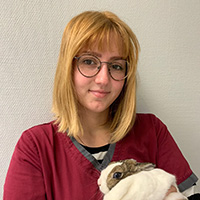 Clinique veterinaire Univet Argenteuil ASV Jessica Rouge
