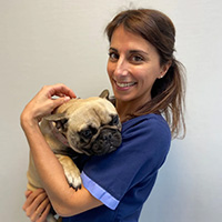 Clinique veterinaire Univet Argenteuil VET Julie Diaz