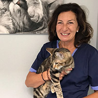 Clinique veterinaire Univet Argenteuil VET Pascale Mazetier