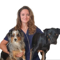 Clinique veterinaire Univet Narbonne VET Sabrina Maradan