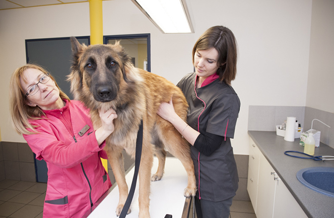 Clinique veterinaire univet Rognac consult