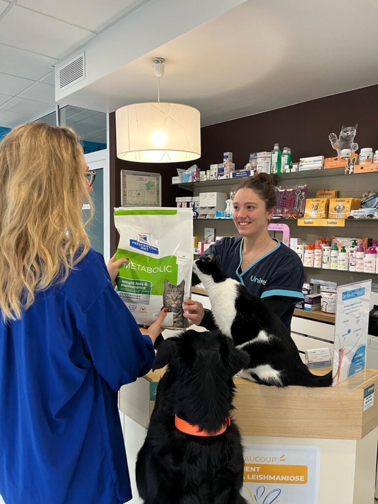 Assistante vétérinaire Univet conseillant une cliente avec ses chiens au comptoir, présentation d’un aliment vétérinaire spécialisé.