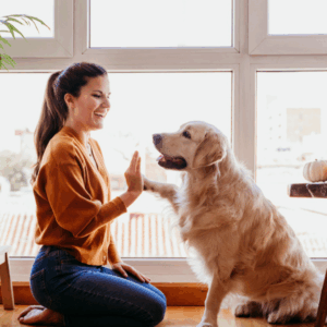 Femme récompensant son chien avec une friandise lors d’une séance d’éducation positive à la maison