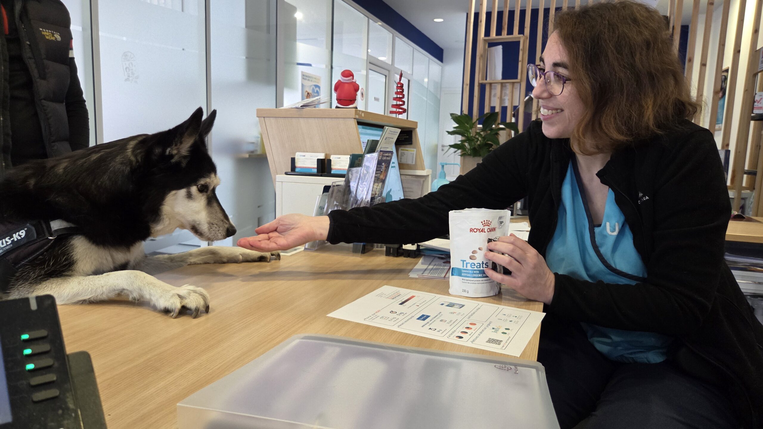 Chien recevant une friandise en clinique vétérinaire lors d’un soin réalisé avec renforcement positif.