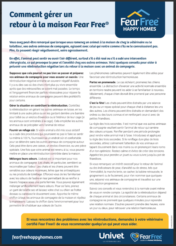 Guide Fear Free aidant les propriétaires à accompagner leur animal après une consultation vétérinaire, pour un retour au calme à la maison.