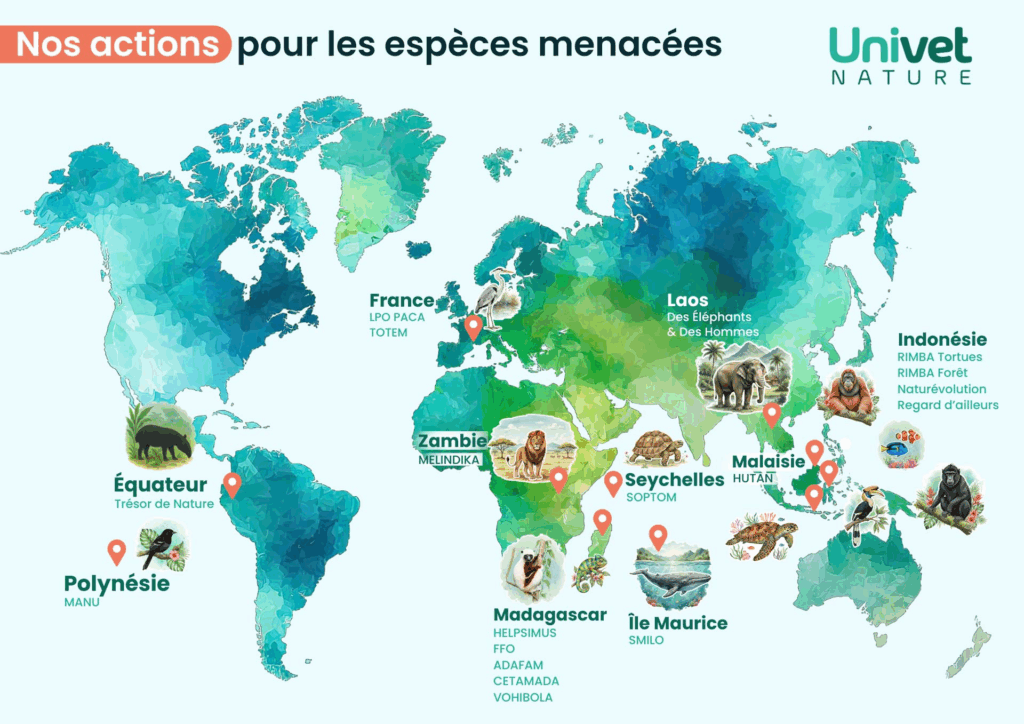 Carte mondiale des actions soutenues par Univet Nature en faveur des espèces menacées
