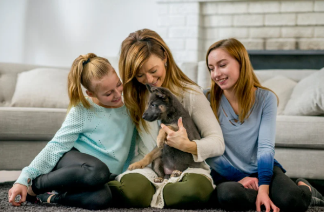 socialiser son chiot avec des enfants dans un environnement calme