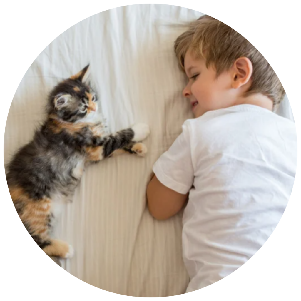 Chaton en interaction douce avec un enfant 