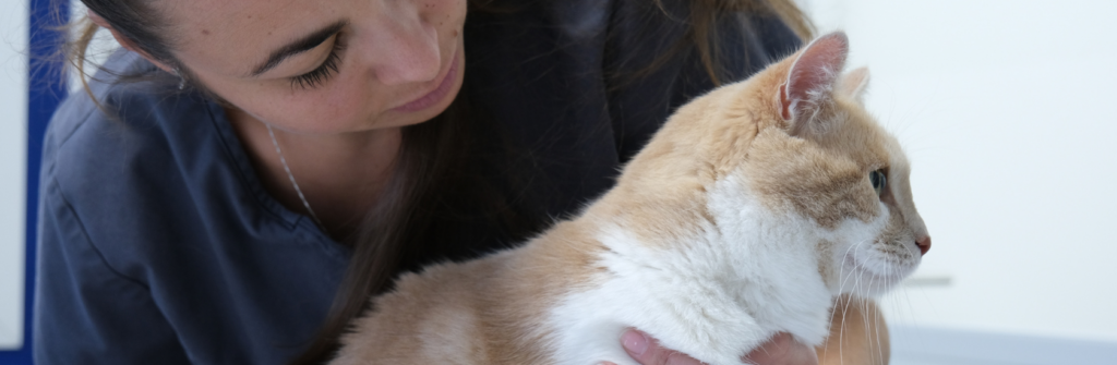 Certification Fear Free Cliniques Vétérinaires Univet