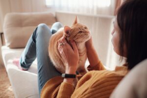 Chat d’intérieur se reposant calmement avec son humain dans un environnement apaisant